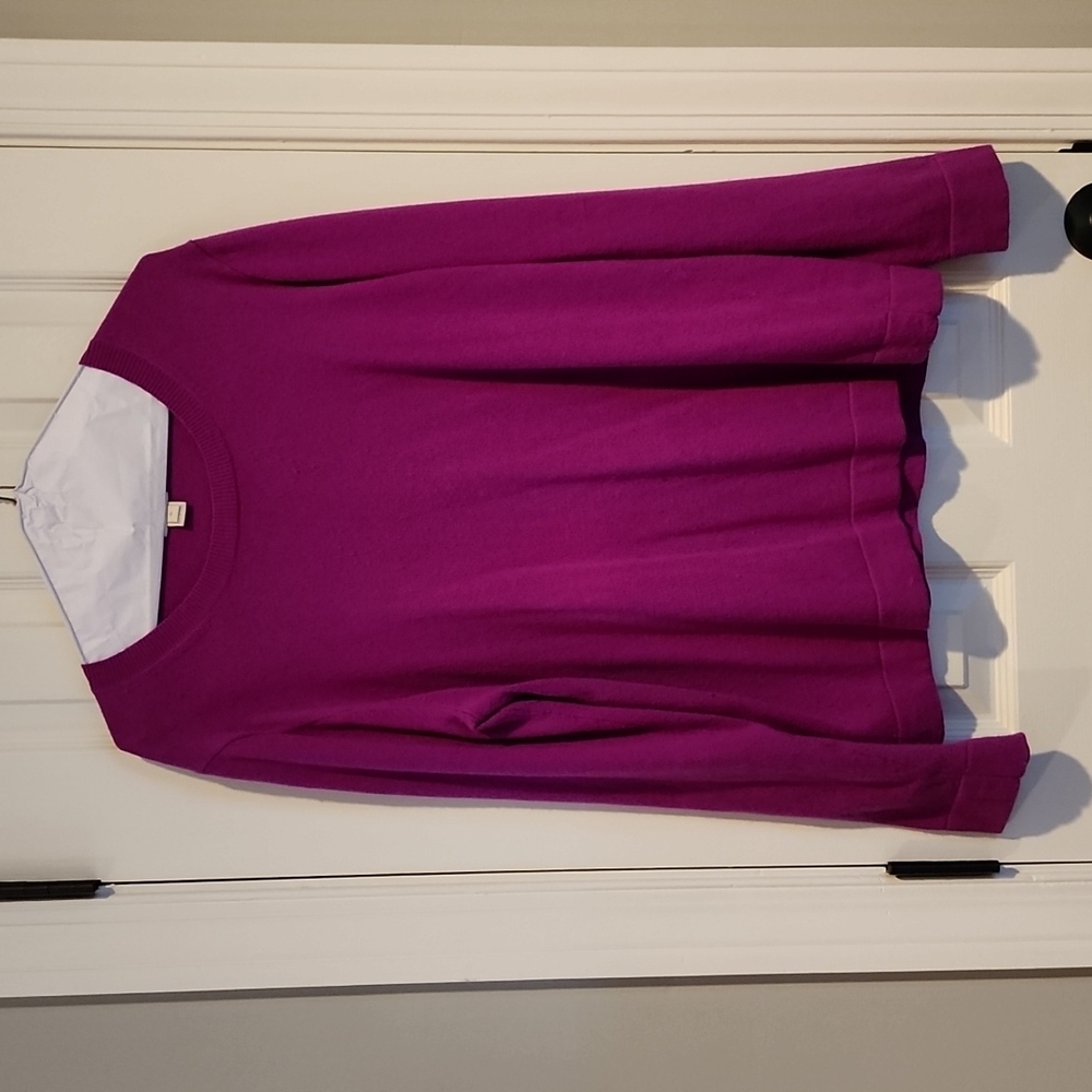 J.Crew Sweater